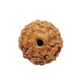 9 Mukhi Indonesia Rudraksha – Original & Certified Navmukhi Bead 9 Mukhi Indonesia Rudraksha – Original & Certified Navmukhi Bead